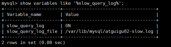 image-20220325181405473