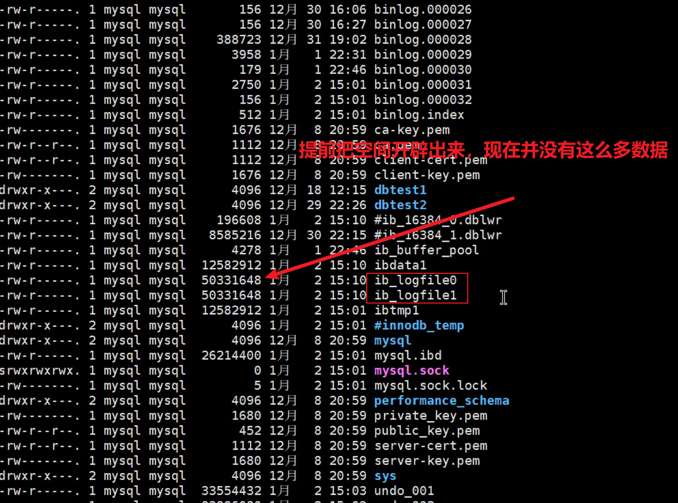 image-20220328151926842