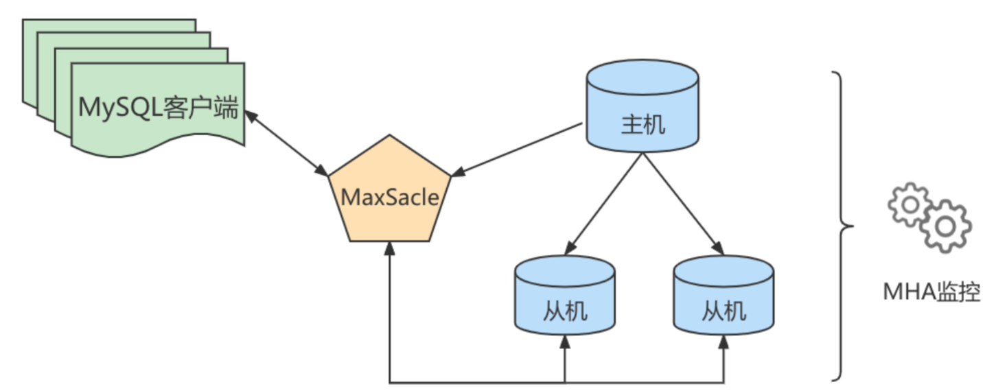 image-20220329234200370