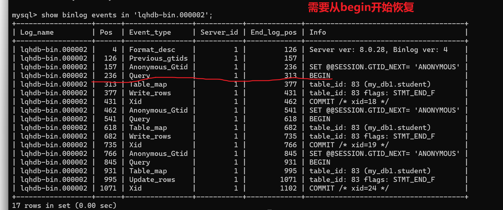 image-20220329211054299